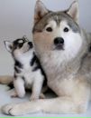 Катя Дубій фотография #8 (источник - https://vk.com/id150086305)