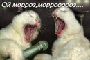 Костя Валуєв фотография #24 (источник - https://vk.com/id136858797)