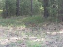 Фотография Андрей Войлошников