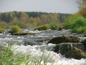 Иван Гришин фотография #6 (источник - https://vk.com/id3192283)