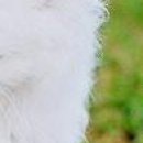 Вєталь Серйозний фотография #37 (источник - https://vk.com/id136859700)