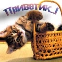 Вітя Гринчишин фотография #33 (источник - https://vk.com/id76869378)