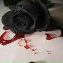 Фотография Жуковой Татьяны