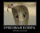 Фотография Наты Натальи