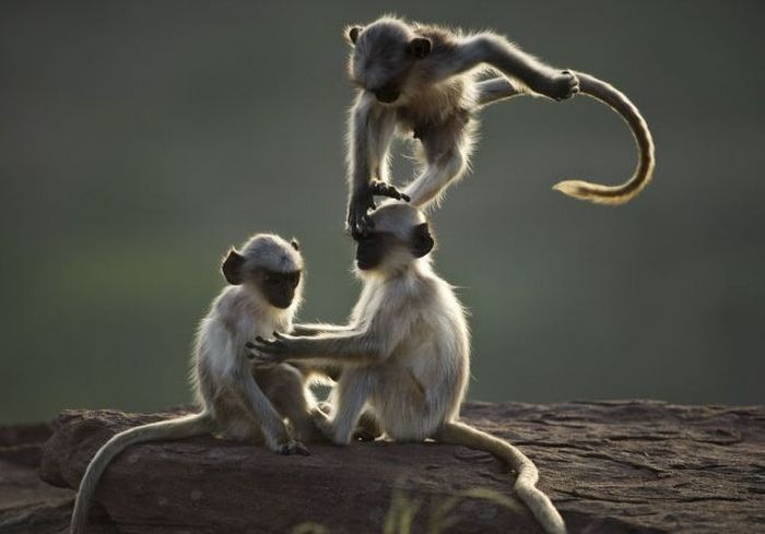 Фарид Гайсин фотография #48