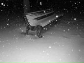 Фотография Коновалова Алексея