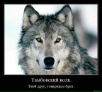 Фотография Муравьевой Юлии