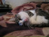 Фотография Созонтовой Татьяны