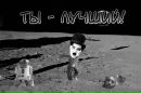 Богдан Гнатів фотография #25 (источник - https://vk.com/id132344035)