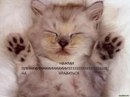 Діана Береза фотография #18 (источник - https://vk.com/id162546834)