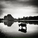 Nn Nn фотография #9 (источник - https://vk.com/id2185581)