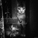 Марія Градова фотография #27 (источник - https://vk.com/id147475670)