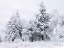 Вікторія Боровицька фотография #2 (источник - https://vk.com/id158915545)