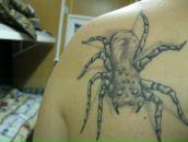 Фотография Габитова Ильшата