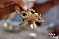 Andy Kolesnik фотография #23 (источник - https://vk.com/id257002)