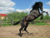 Фотография Валиулиной Ольги