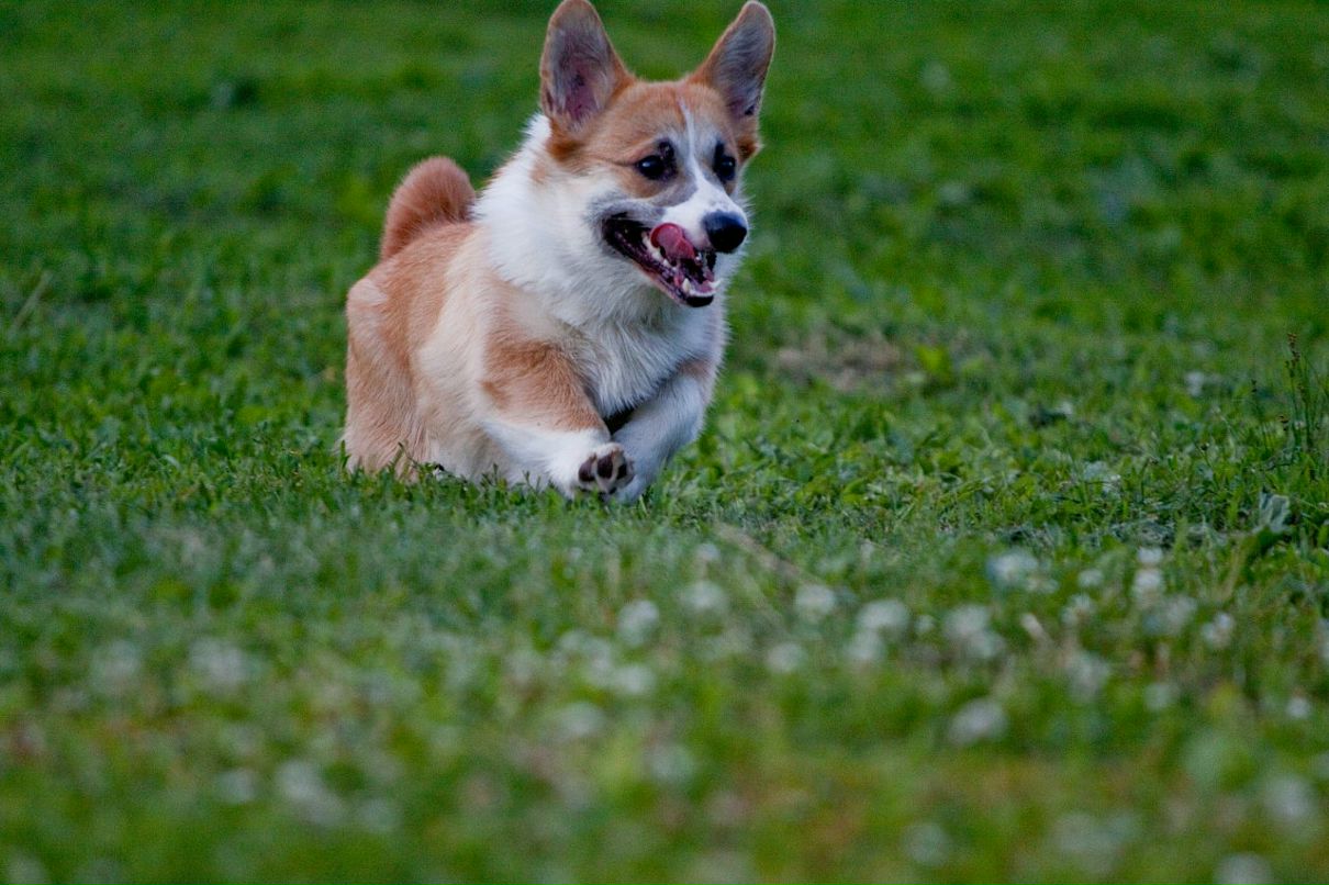 Александр Пушаков фотография #19