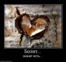 Арінка Орлова фотография #40 (источник - https://vk.com/id80069087)