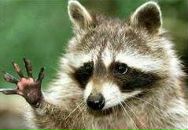 Фотография Викторова Макса