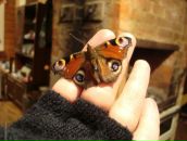 Фотография Богдановой Милены