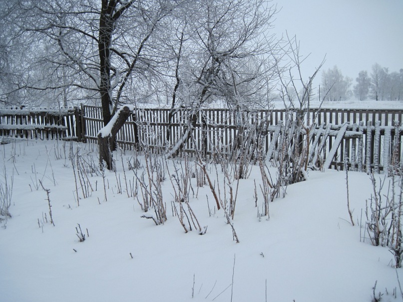 Руслан Мартыненко фотография #30