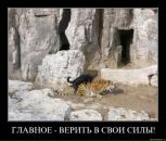 Вова Чміль фотография #27 (источник - https://vk.com/id96764672)