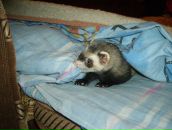 Дима Сергеевич фотография #40 (источник - https://vk.com/id1479155)