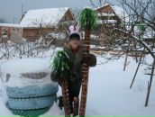 Фотография Терентьевой Светланы