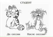 Фотография Шемякиной Ксении