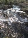 Ванєчка Келемен фотография #5 (источник - https://vk.com/id152020521)