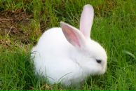 Фотография Семенов Александр