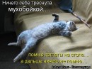 Стас Тимофеев фотография #30 (источник - https://vk.com/id3975274)