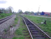 Ойра Ойра фотография #11 (источник - https://vk.com/id807590)