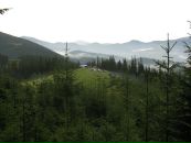Оксана Тернівська фотография #19 (источник - https://vk.com/id13253091)
