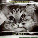 Фотография Кудашевой Ленары