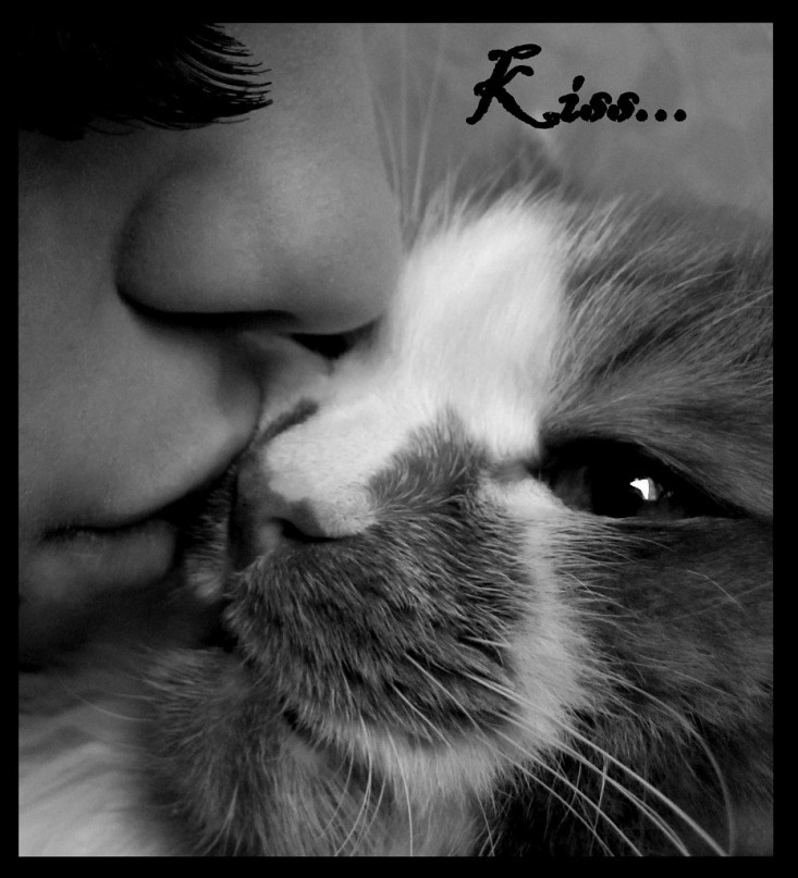 Таня Чугунова фотография #28