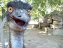 Фотография Майорова Евгения