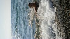 Малыш =) фотография #2 (источник - https://vk.com/id70665437)