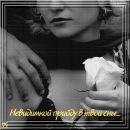 Фотография Reshetnikova Ольги