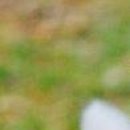 Катя Махніцька фотография #9 (источник - https://vk.com/id80782505)