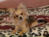 Фотография Донцовой Татьяны