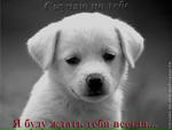 Фотография Кирилловой Эли