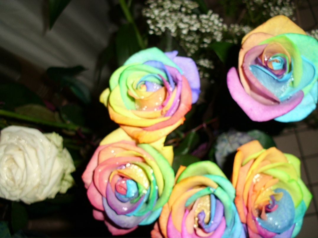 Valya Electra фотография #3