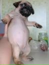 Фотография Симонешко Анастасия