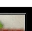 Поліна Микитюк фотография #7 (источник - https://vk.com/id56457594)