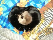 Фотография Пепеляевой Валентины