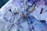 Фотография Васильевой Светы