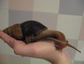 Фотография Нестеровой Елены