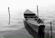 Фотография Ляха Артёма