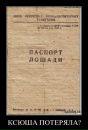 Стас Тимофеев фотография #21 (источник - https://vk.com/id3975274)